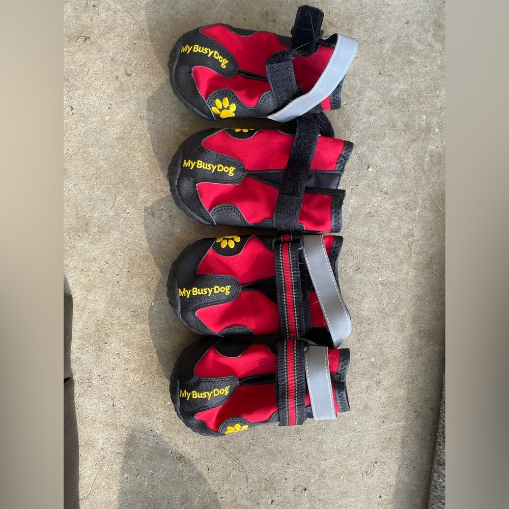 Dog boots